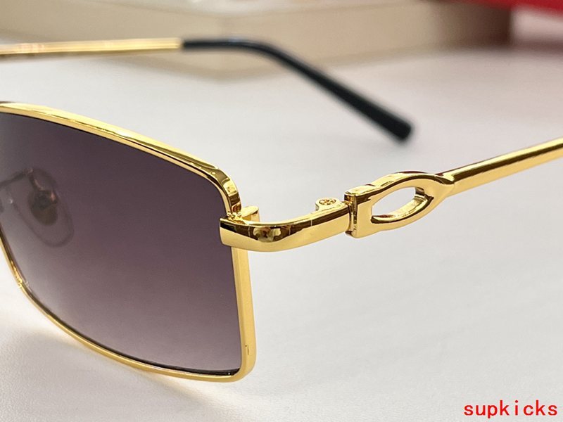 Front view of Cartier unisex sunglasses