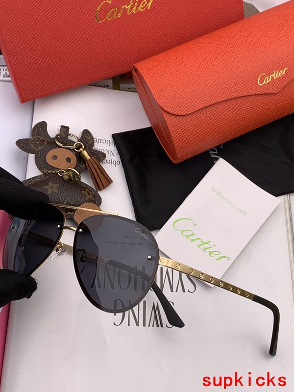 Side view of Cartier unisex sunglasses