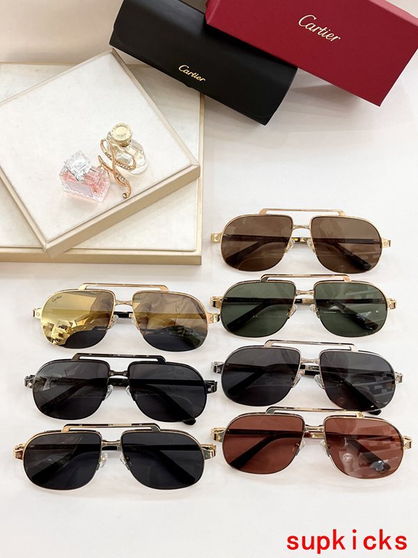 Lifestyle view of Cartier unisex sunglasses
