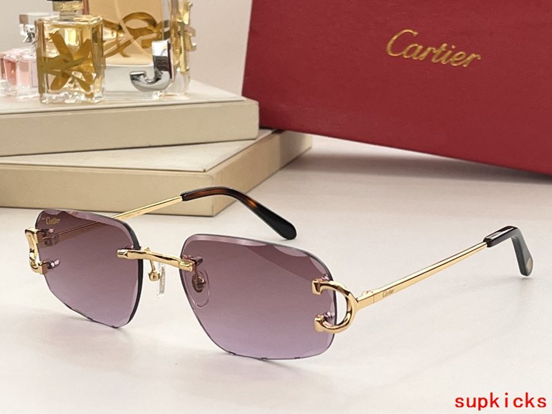 Side view of Cartier unisex sunglasses
