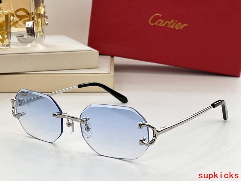 Side view of Cartier unisex sunglasses