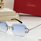 Side view of Cartier unisex sunglasses