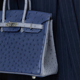 Elegant bag shown from front angle