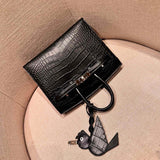  handbag interior and compartment view