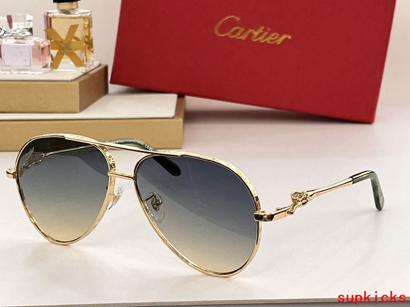 Full view of Cartier unisex sunglasses
