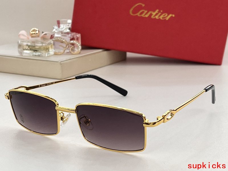 Full view of Cartier unisex sunglasses