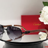 Front view of Cartier unisex sunglasses