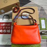 Front view of polished refined women's handbag – women's luxury accessory
