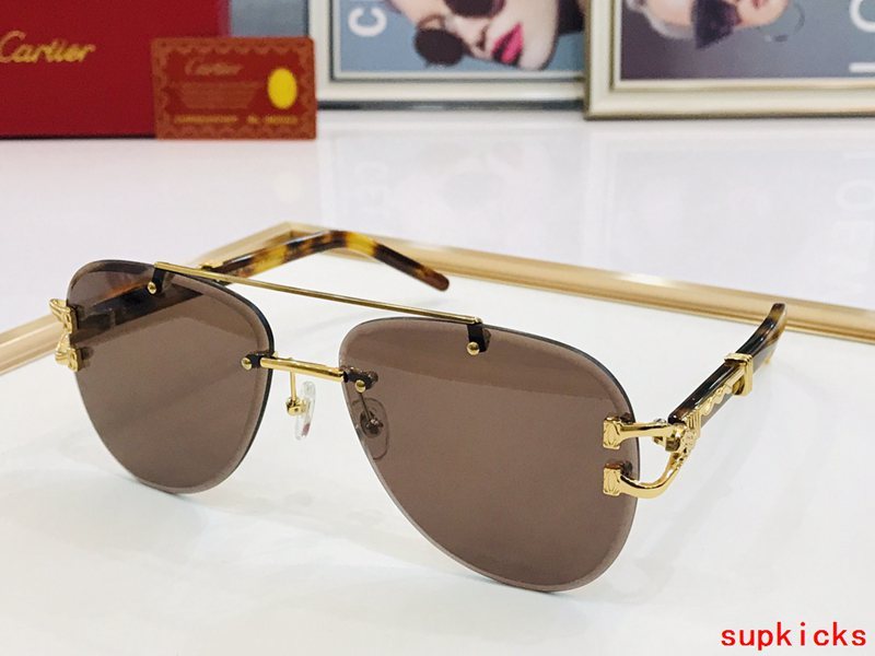 Close-up detail view of Cartier unisex sunglasses