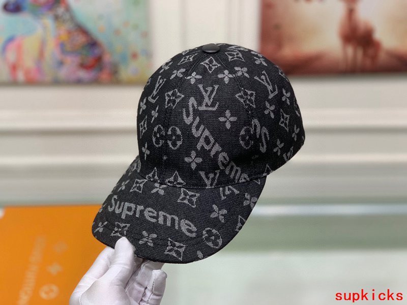 Full view of Louis Vuitton unisex cap