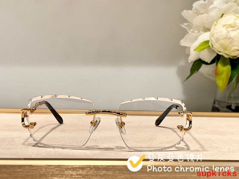 Close-up detail view of Cartier unisex sunglasses