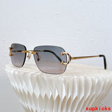 Front view of Cartier unisex sunglasses