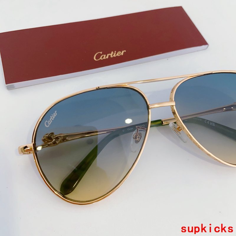 Close-up detail view of Cartier unisex sunglasses
