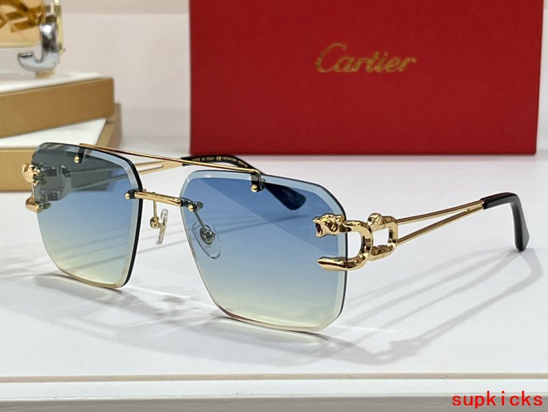 Full view of Cartier unisex sunglasses
