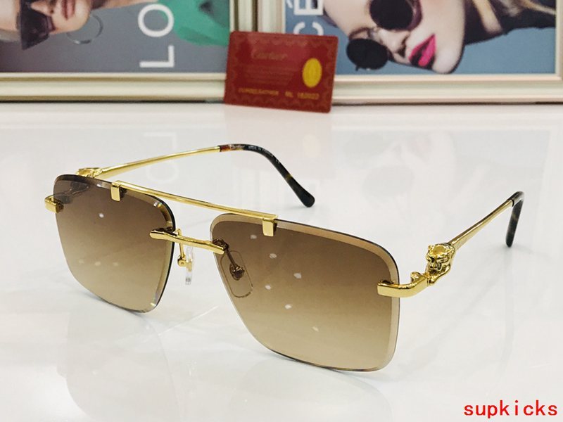 Close-up detail view of Cartier unisex sunglasses