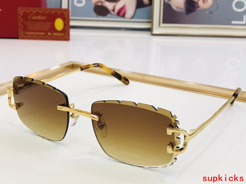 Front view of Cartier unisex sunglasses