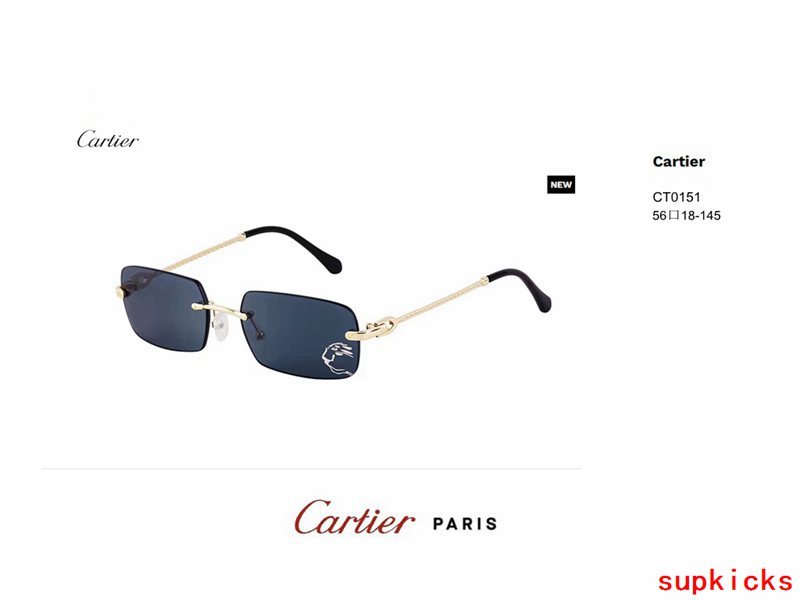 Side view of Cartier unisex sunglasses