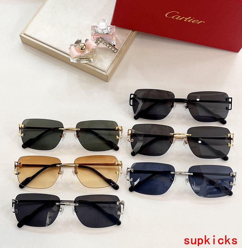 Close-up detail view of Cartier unisex sunglasses