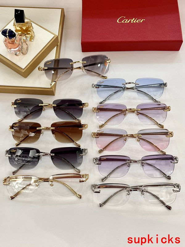 Close-up detail view of Cartier unisex sunglasses