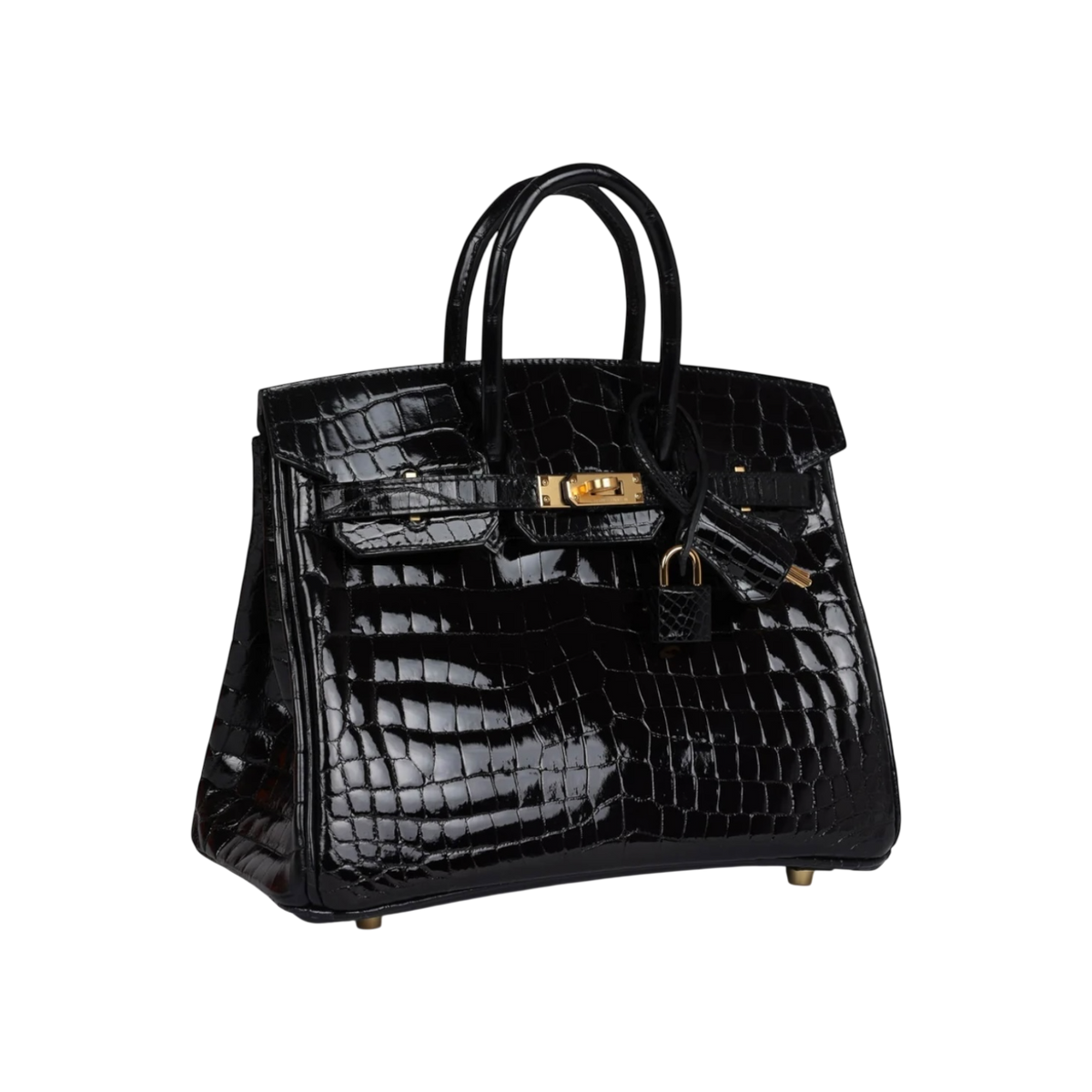 HermÃ¨s Birkin 25 Black Niloticus Crocodile Gold Hardware