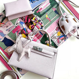  crossbody bag interior and compartment view