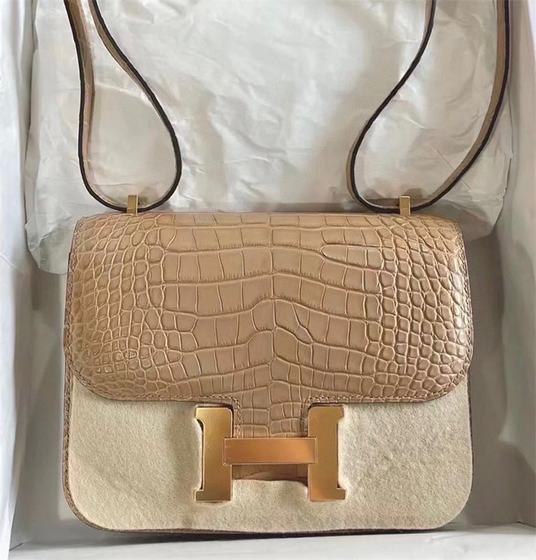  everyday bag interior and compartment view