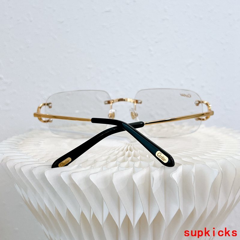 Full view of Cartier unisex sunglasses