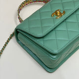 versatile purse view 2