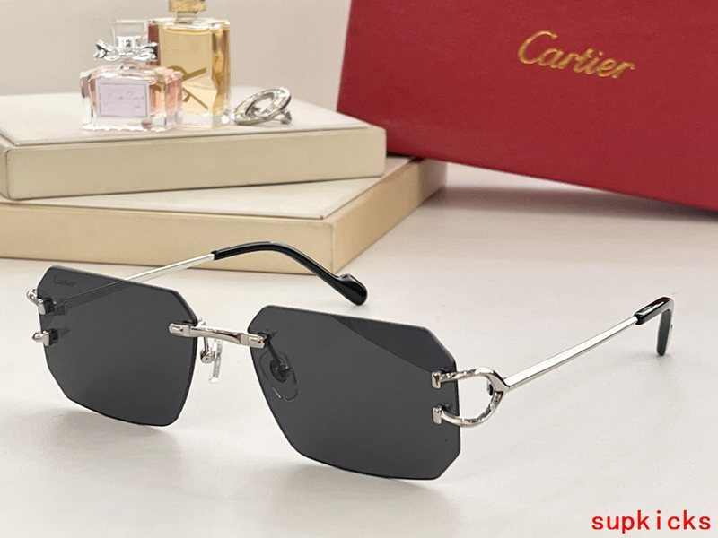 Side view of Cartier unisex sunglasses