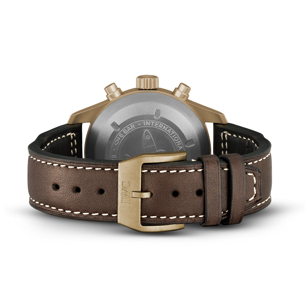 Lifestyle view of IWC unisex watch