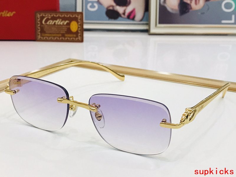 Front view of Cartier unisex sunglasses