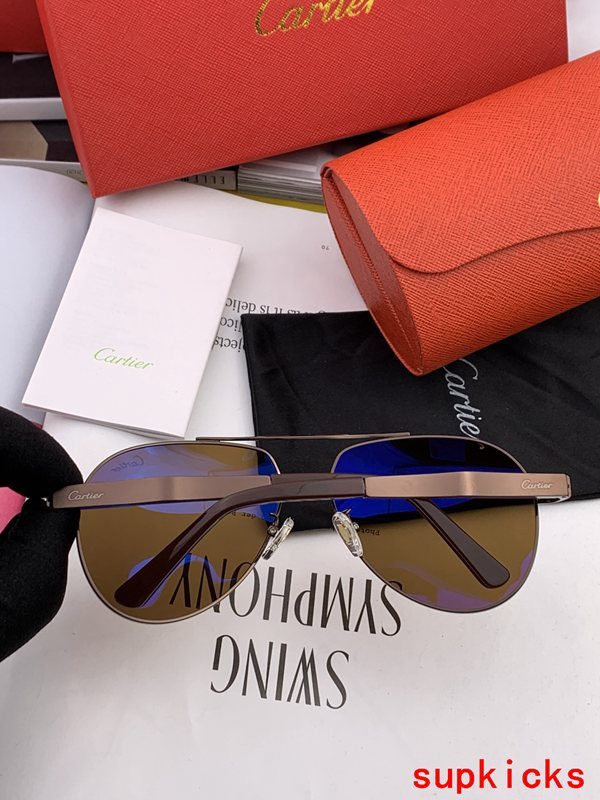Close-up detail view of Cartier unisex sunglasses