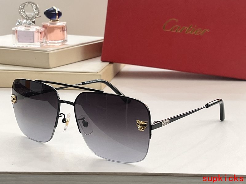 Close-up detail view of Cartier unisex sunglasses