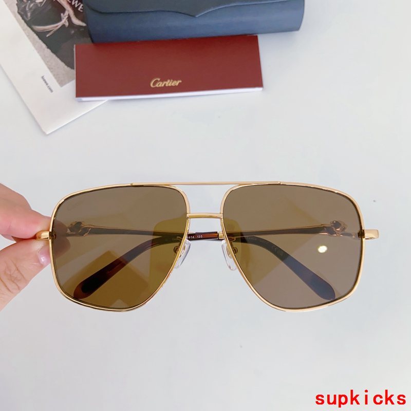 Front view of Cartier unisex sunglasses