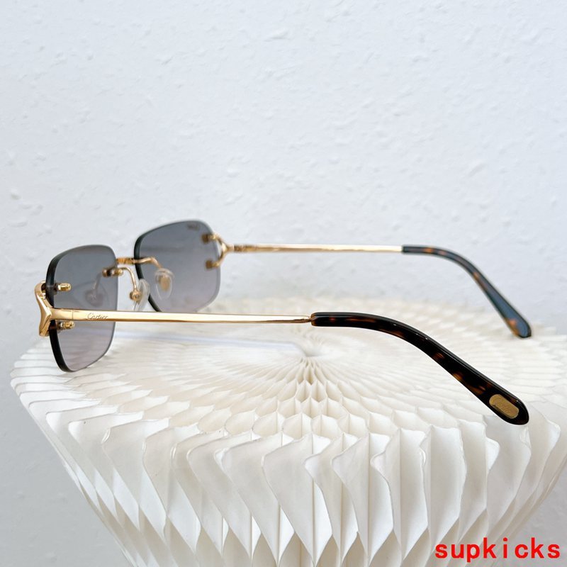 Side view of Cartier unisex sunglasses