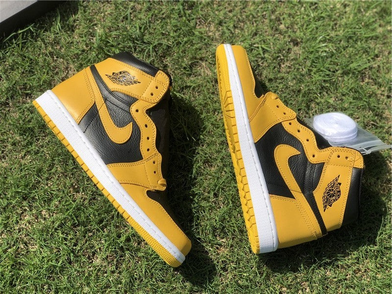 Nike Men's & Women's Designer Low-Top Shoes — Style 161 close-up view