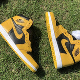 Nike Men's & Women's Designer Low-Top Shoes — Style 161 close-up view