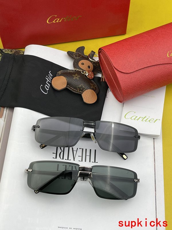 Close-up detail view of Cartier unisex sunglasses