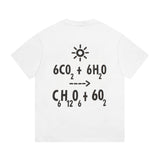 Close-up detail shot of Louis Vuitton cotton t-shirt with everyday silhouette