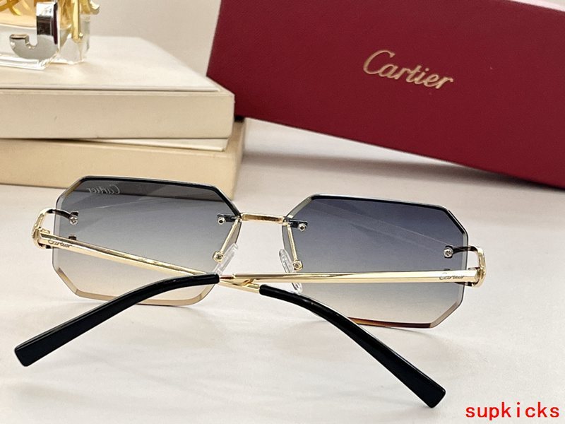 Close-up detail view of Cartier unisex sunglasses