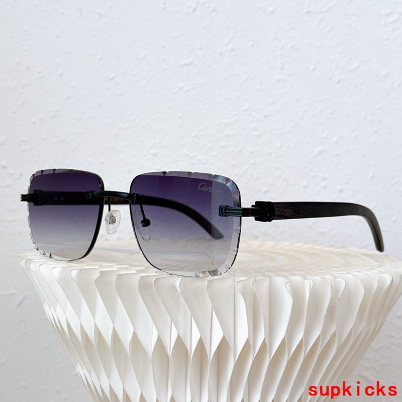 Front view of Cartier unisex sunglasses