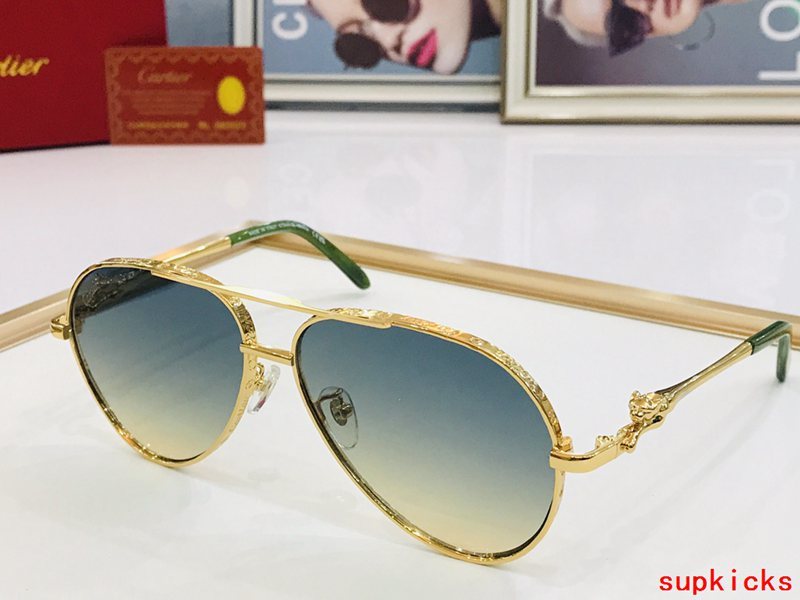 Full view of Cartier unisex sunglasses