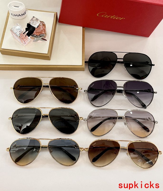 Close-up detail view of Cartier unisex sunglasses