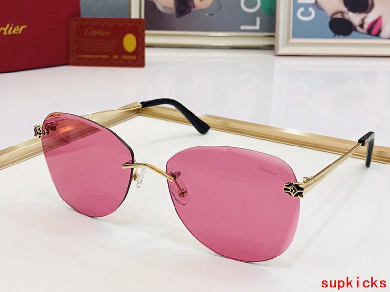 Front view of Cartier unisex sunglasses