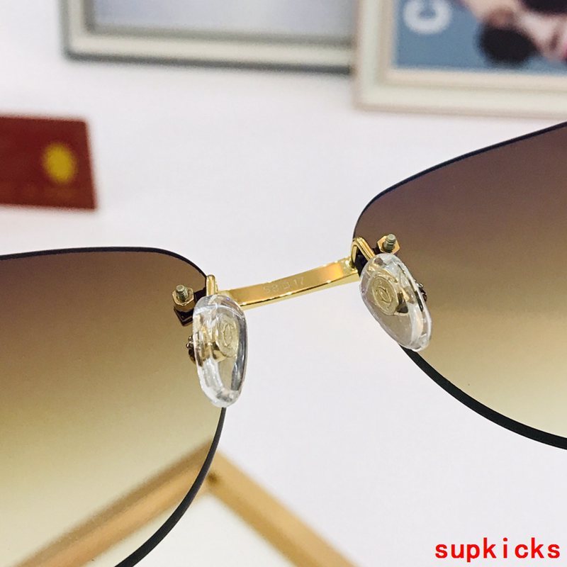 Close-up detail view of Cartier unisex sunglasses