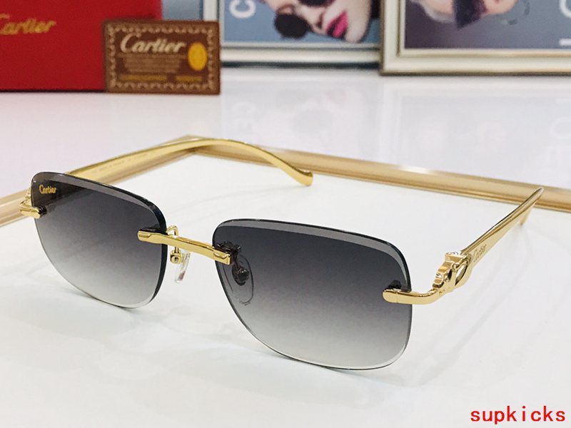 Side view of Cartier unisex sunglasses