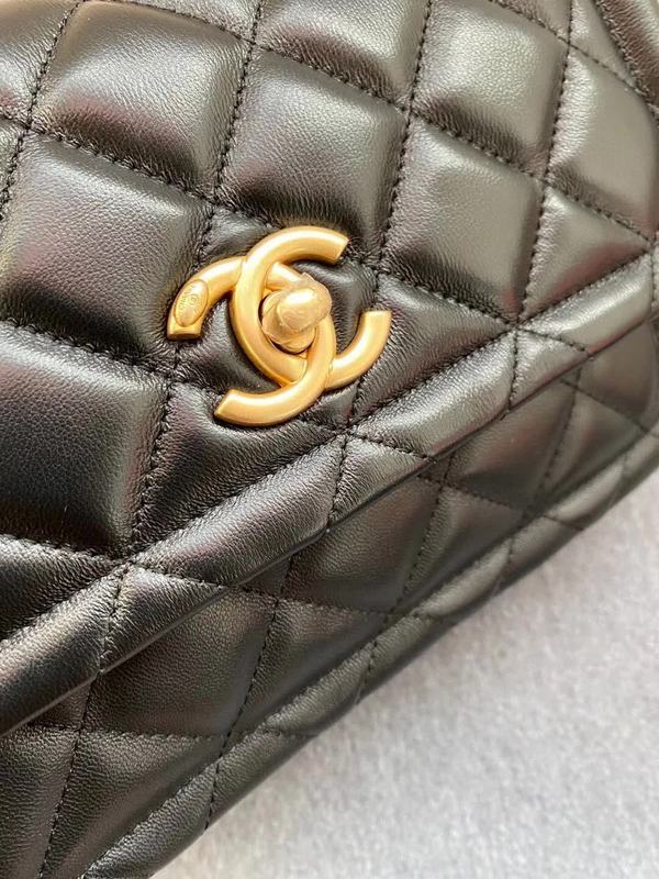 Zivas Charm Versatile Design Fashion Handbag (Signature Shape & Finish) – Back View