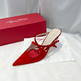 Roger Vivier luxury shoes back view — premium authentic designer style