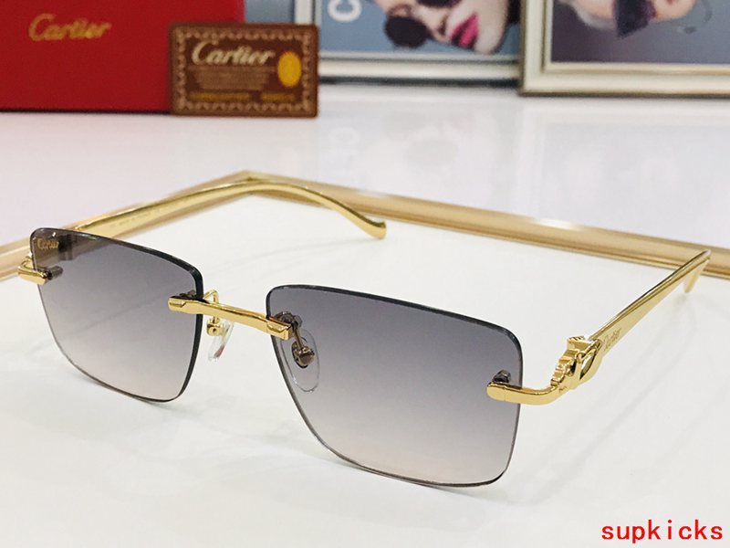 Full view of Cartier unisex sunglasses