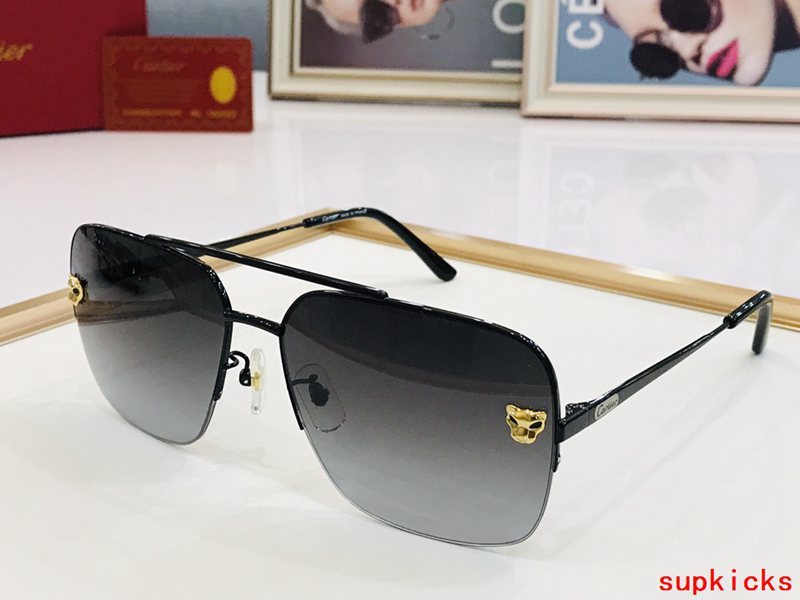 Side view of Cartier unisex sunglasses